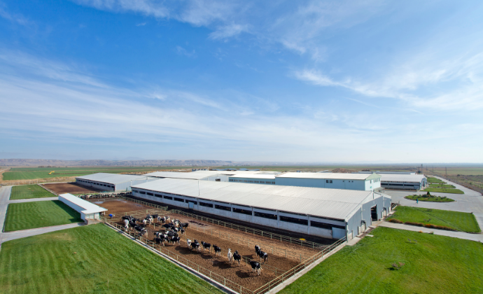 Project Gallery Image