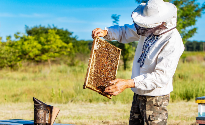 Project Gallery Image