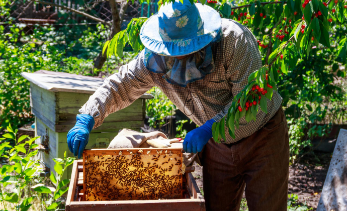 Project Gallery Image